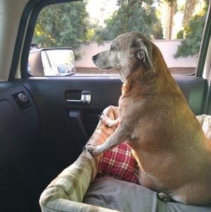 Meet your Posher, Rikki